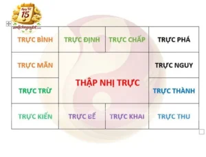 Trực Ngày Là Gì?