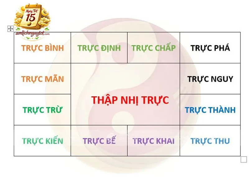 Trực Ngày Là Gì?