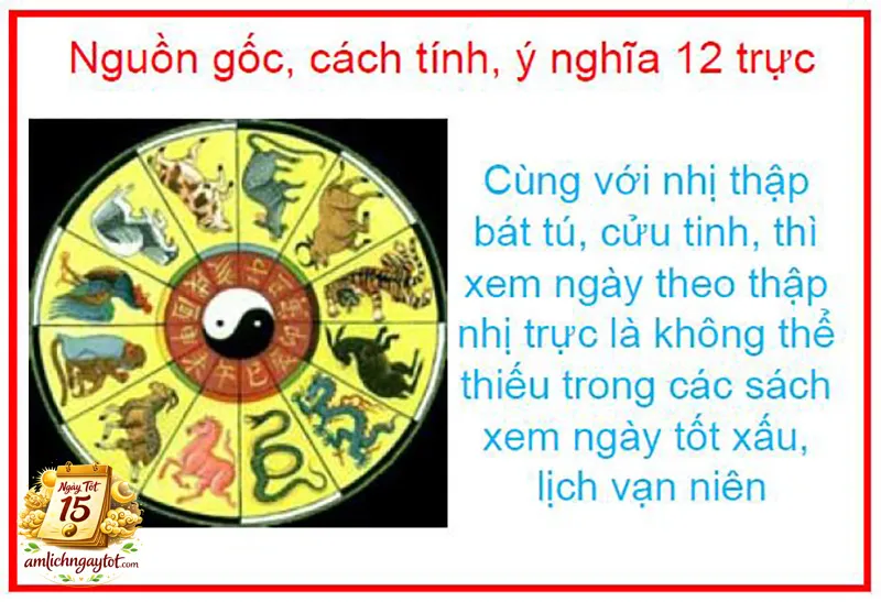 Nguồn Gốc Học Thuật Của Hệ Thống Trực Ngày