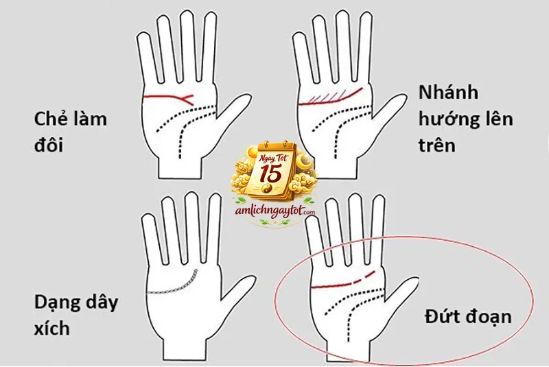 Các yếu tố chính khi xem chỉ tay