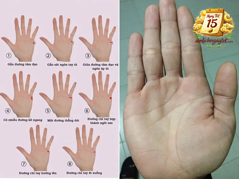 Nguyên tắc cốt lõi khi xem chỉ tay