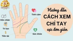 Cách xem chỉ tay