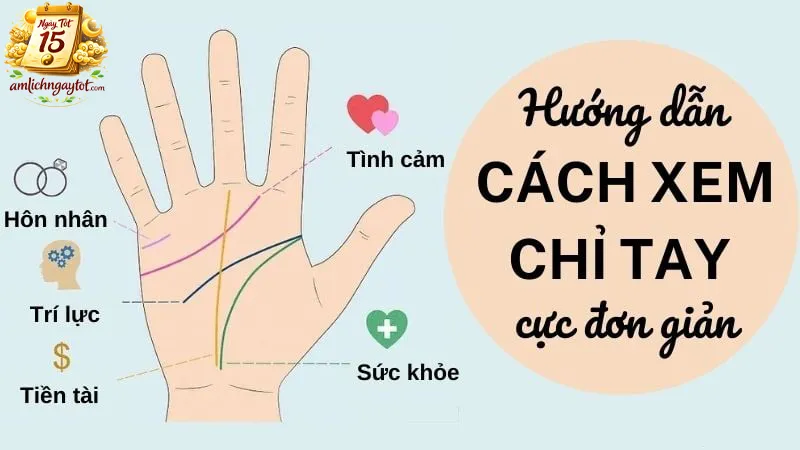 Chỉ tay trong mệnh lý học