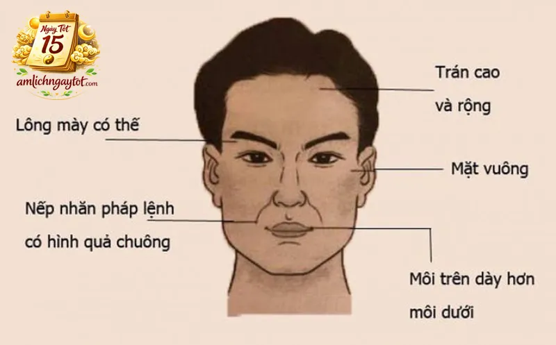 Nguyên tắc luận tướng mặt