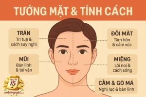triết lý của xem tướng mặt