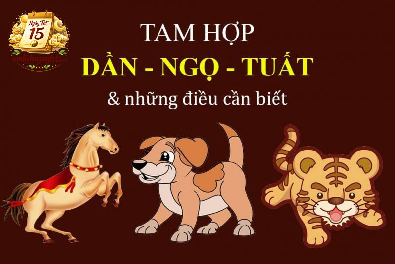 Tam hợp
