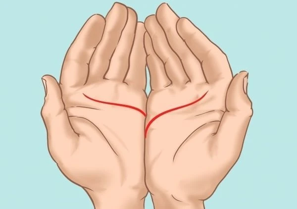 Giải mã chỉ tay đứt đoạn có sao không?