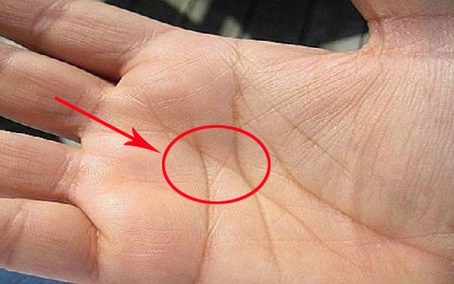 Chỉ tay chữ M có ý nghĩa gì?