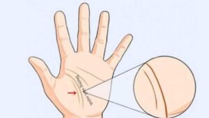 Xem đường sinh mệnh cho biết điều gì?