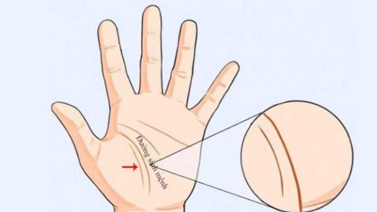 Xem đường sinh mệnh cho biết điều gì?