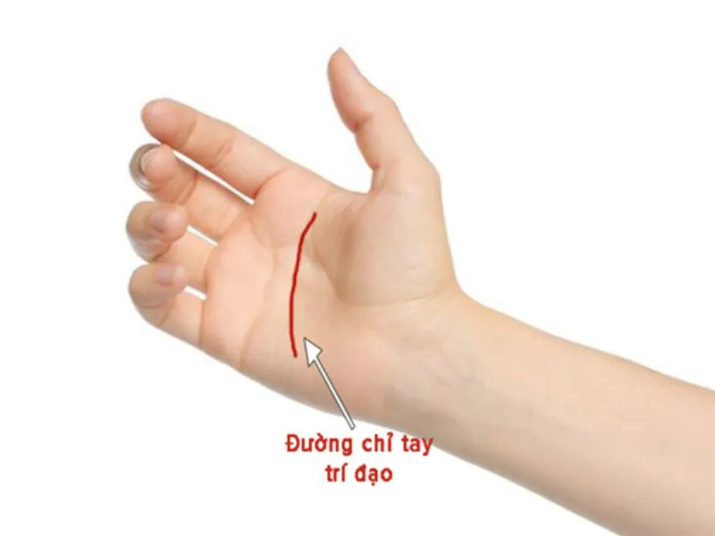 Xem đường trí đạo cho biết điều gì?