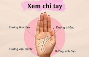 Xem chỉ tay nữ giúp ích như thế nào?