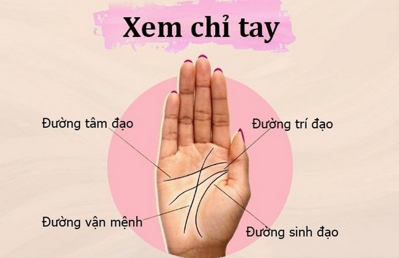 Xem chỉ tay nữ giúp ích như thế nào?