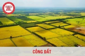1-cong-dat-la-bao-nhieu-m2-huong-dan-quy-doi-chuan-nhat-2026_352