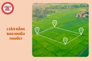 1-sao-la-bao-nhieu-m2-cach-quy-doi-dien-tich-dat-chuan-2026_453