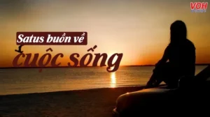 150-stt-buon-ve-cuoc-song-thau-hieu-moi-tam-trang-co-don-nha_329