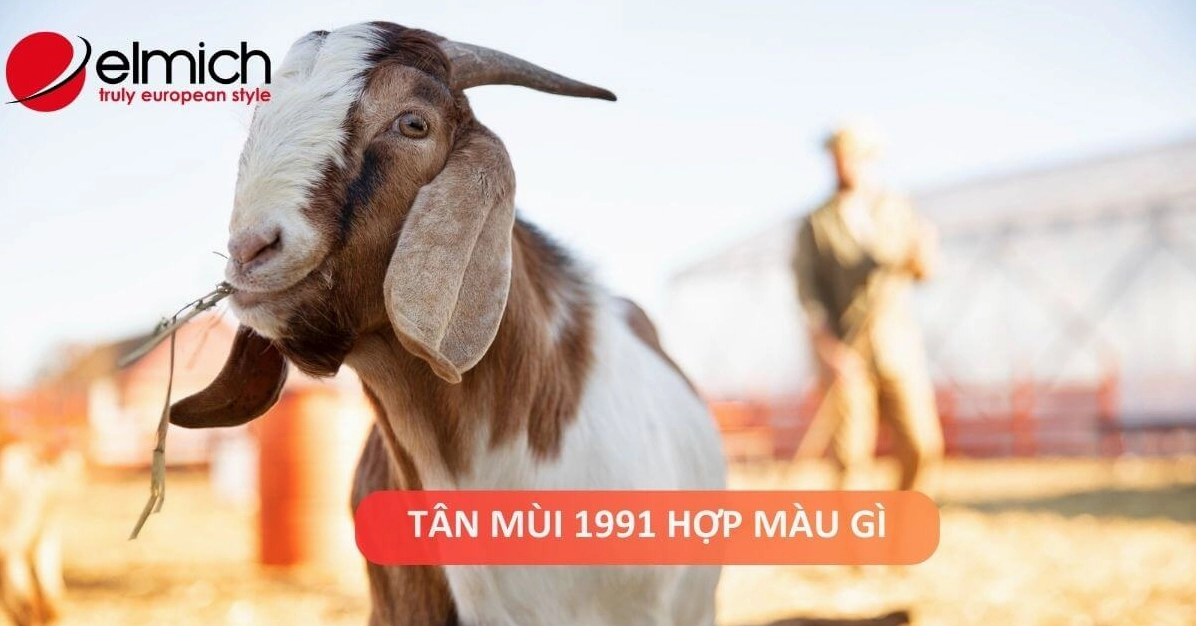1991 hợp màu gì và kỵ màu gì?