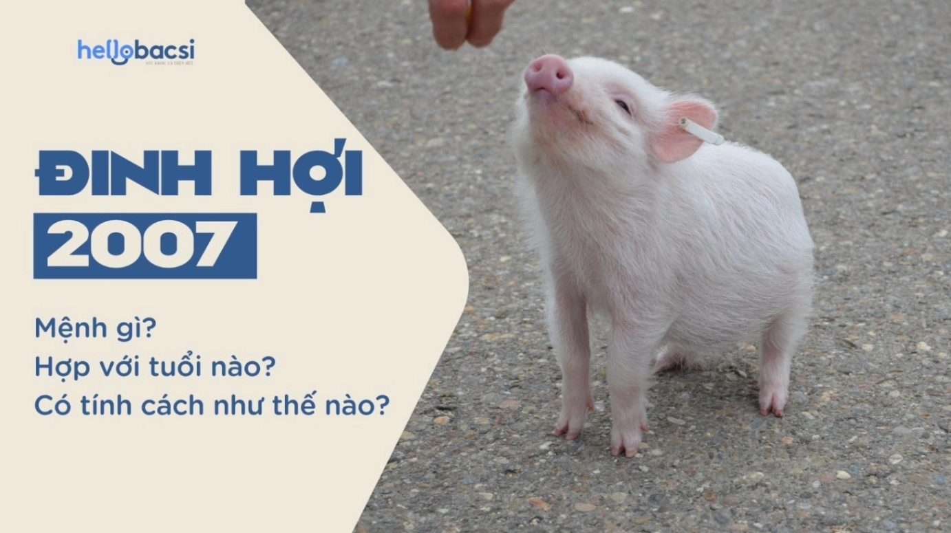 2007 thuộc mệnh Ốc Thượng Thổ - Giải mã chi tiết tính cách Đinh Hợi 2007