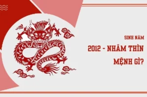 2012-la-nam-con-gi-giai-ma-van-menh-phong-thuy-tuoi-nham-thi_733