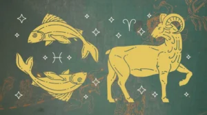 213-cung-gi-giai-ma-chi-tiet-tinh-cach-tinh-duyen-va-su-nghi_647