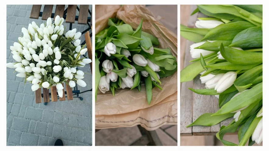 5 Tầng Ý Nghĩa Của Hoa Tulip Trắng