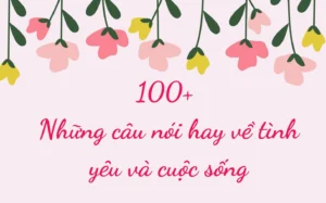 99-nhung-cau-noi-hay-ve-tinh-yeu-chan-thanh-y-nghia-nhat-202_734