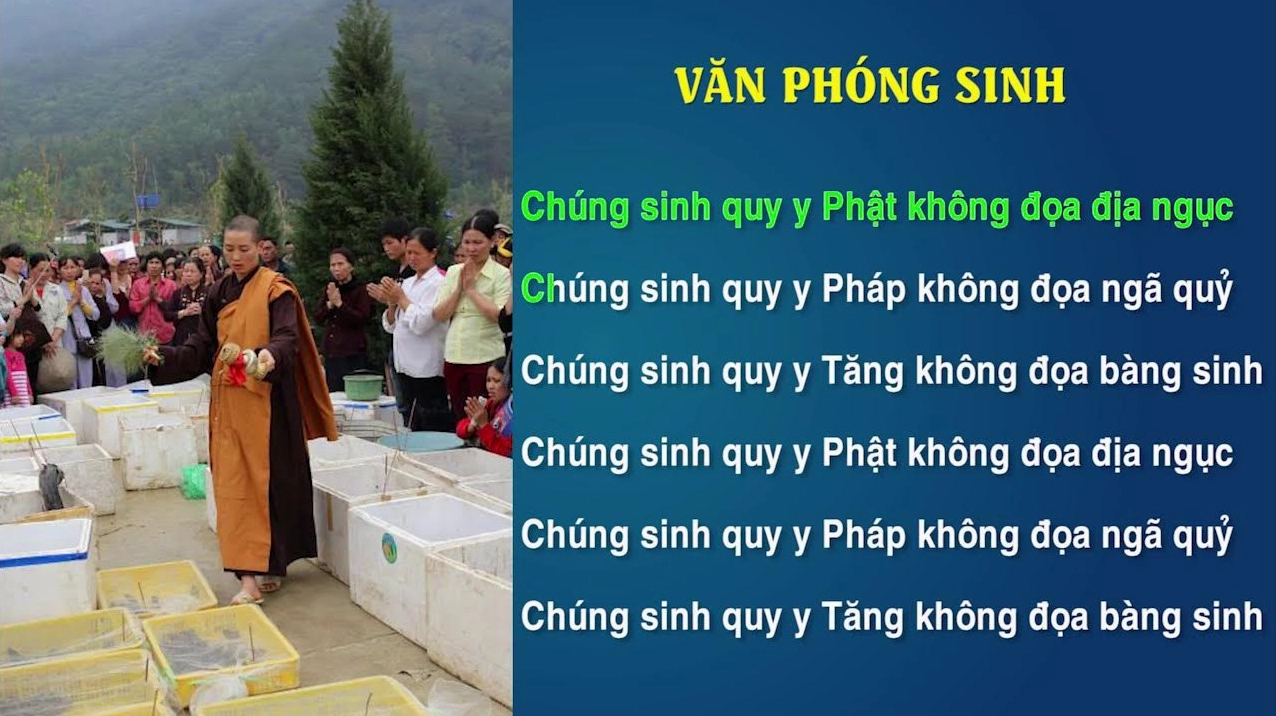 Bài văn khấn phóng sinh tại nhà đơn giản và đầy đủ