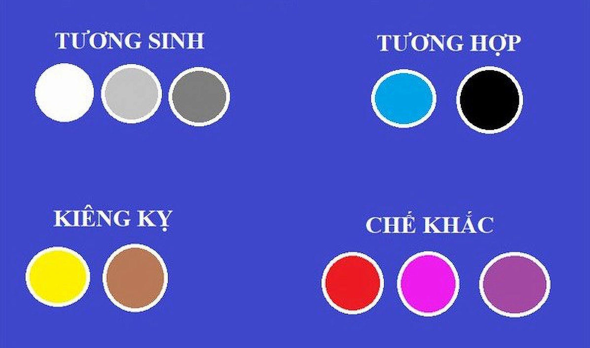 Bảng màu sắc hợp và kỵ mang lại may mắn cho người cầm tinh con Hổ