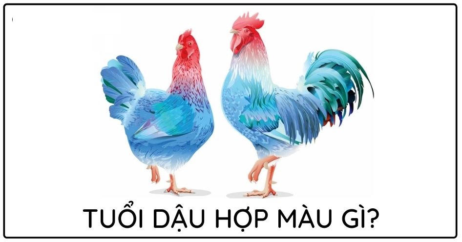 Bảng màu sắc phong thủy tương sinh tương hợp mang lại may mắn cho người tuổi Dậu