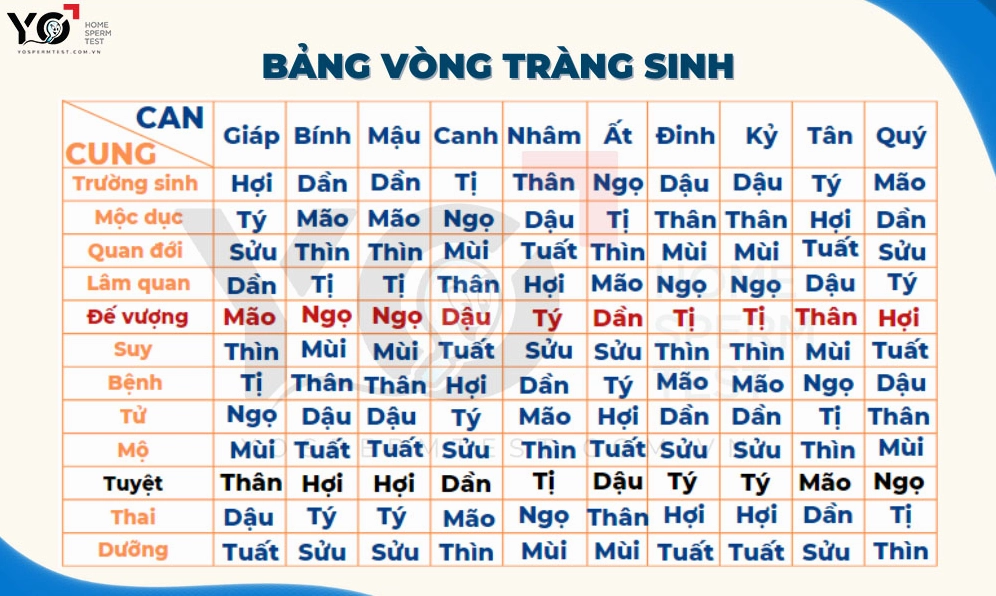 Bang vòng tràng sinh