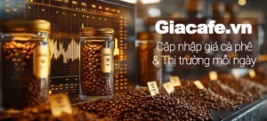 bien-dong-gia-ca-phe-hom-nay-dak-nong-cap-nhat-moi-nhat-2026_175