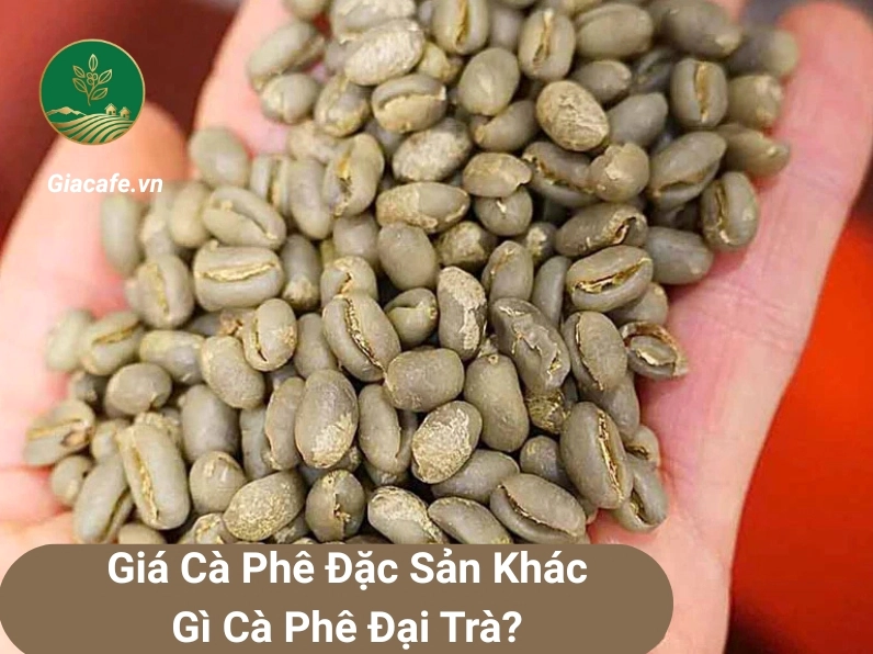 Biểu đồ phân tích biến động giá cà phê 1