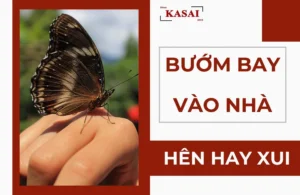 buom-den-bay-vao-nha-la-diem-gi-giai-ma-day-du-diem-bao-hen-_157