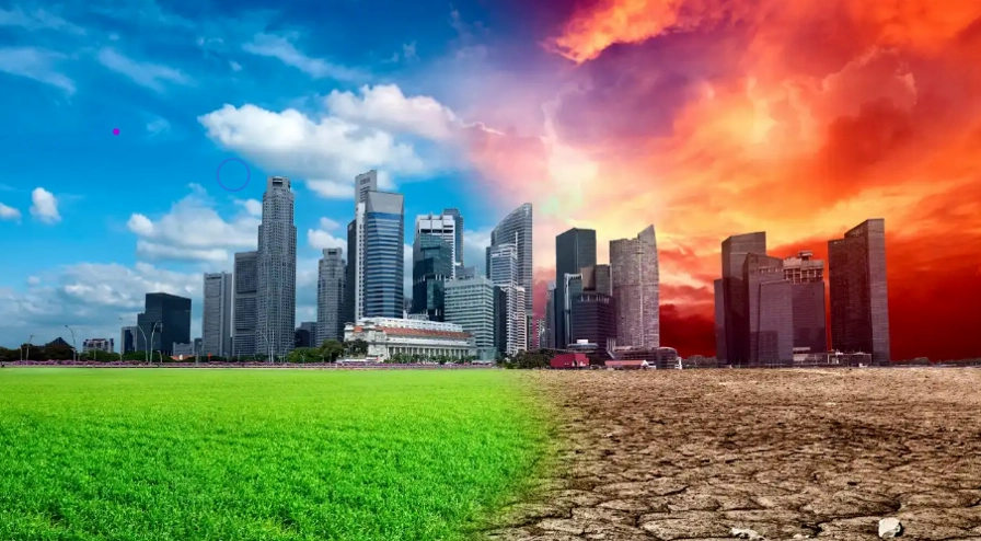 Các mô hình phát triển bền vững và công trình xanh thích ứng biến đổi khí hậu