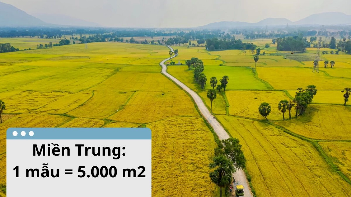Chi tiết 1 mẫu bằng bao nhiêu m2 miền Trung và các tỉnh lân cận