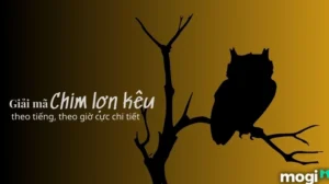 chim-lon-keu-bao-hieu-diem-gi-giai-ma-day-du-diem-lanh-du_190