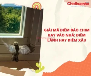 chim-se-bay-vao-nha-la-diem-gi-2026-giai-ma-diem-bao-tot-hay_500