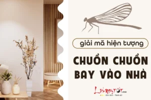 chuon-chuon-bay-vao-nha-2026-giai-ma-diem-bao-tot-hay-xau_371