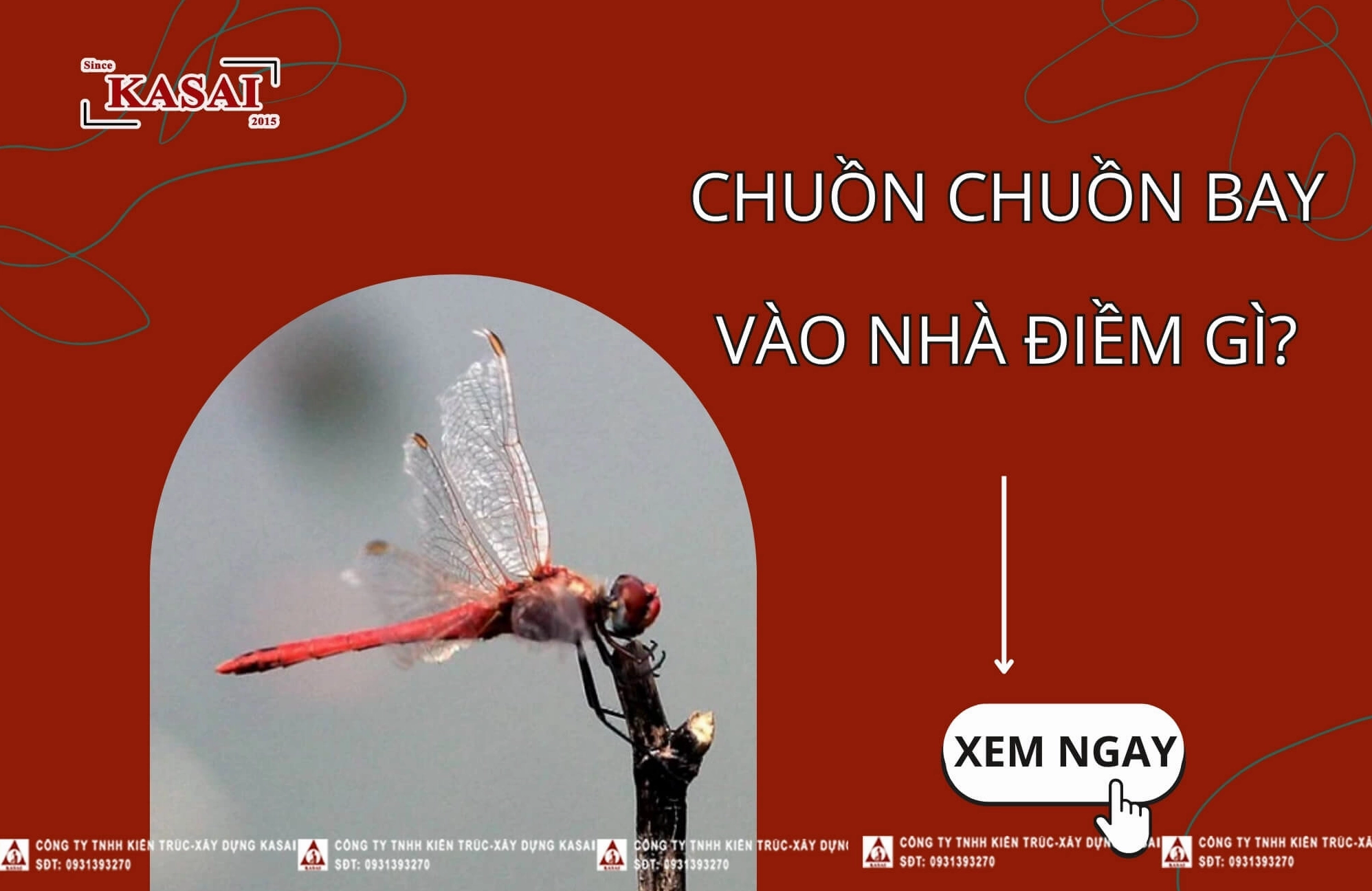 Chuồn chuồn bay vào nhà là một điềm báo tâm linh quan trọng