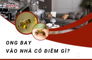 con-ong-so-bao-nhieu-giai-ma-diem-bao-giac-mo-ve-ong-2026_154