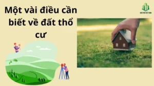 dat-tho-cu-la-gi-quy-dinh-kinh-nghiem-dau-tu-sinh-loi-2026_802