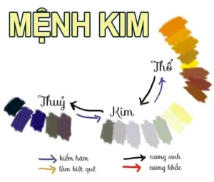 di-tim-loi-giai-nguoi-menh-kim-hop-voi-mau-gi-de-don-loc-202_639