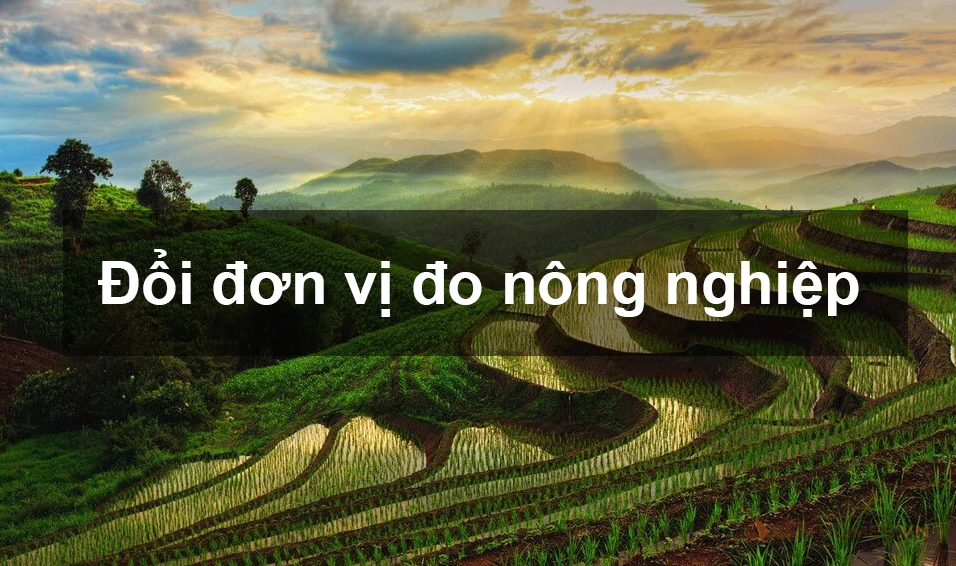 Đổi đơn vị đo nông nghiệp và cách xác định 1 công đất là bao nhiêu m2
