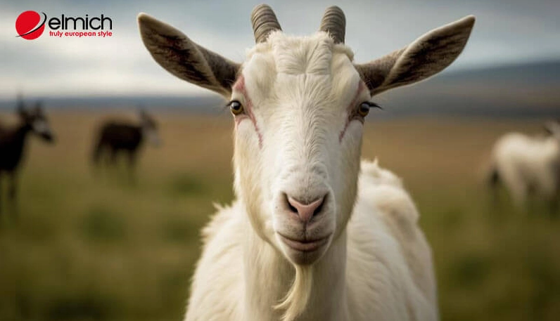 Đôi nét về người sinh năm 1991