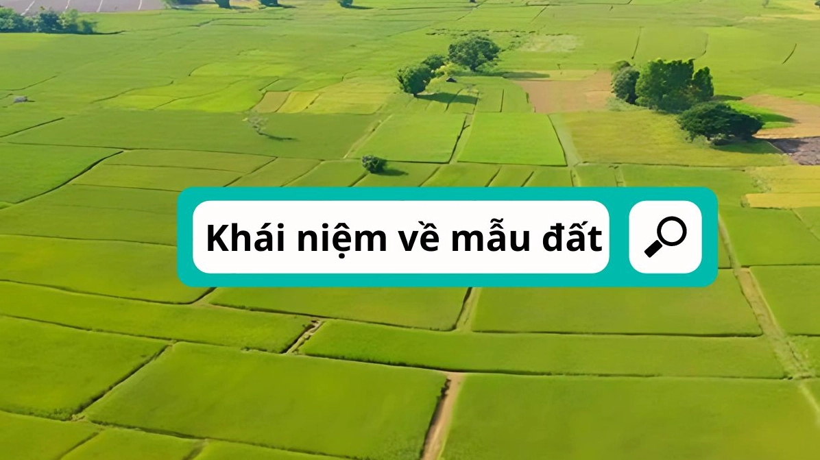 Đơn vị mẫu là gì? Khái niệm cơ bản trong đo lường diện tích đất nông nghiệp