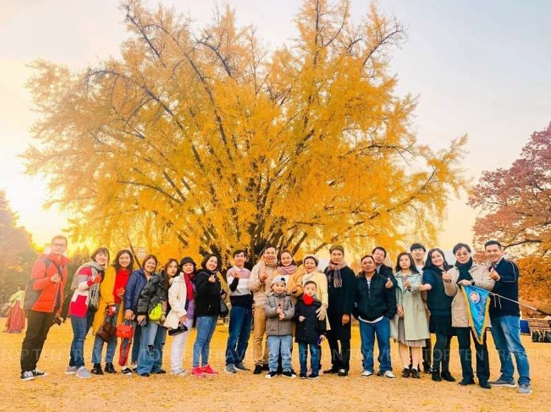 Du lịch mùa thu Việt Nam mang lại nhiều trải nghiệm thú vị