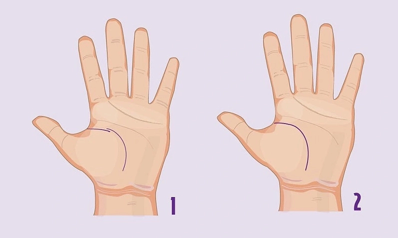 Đường chỉ tay sinh mệnh phản ánh tình trạng sức khỏe tổng quát của một người