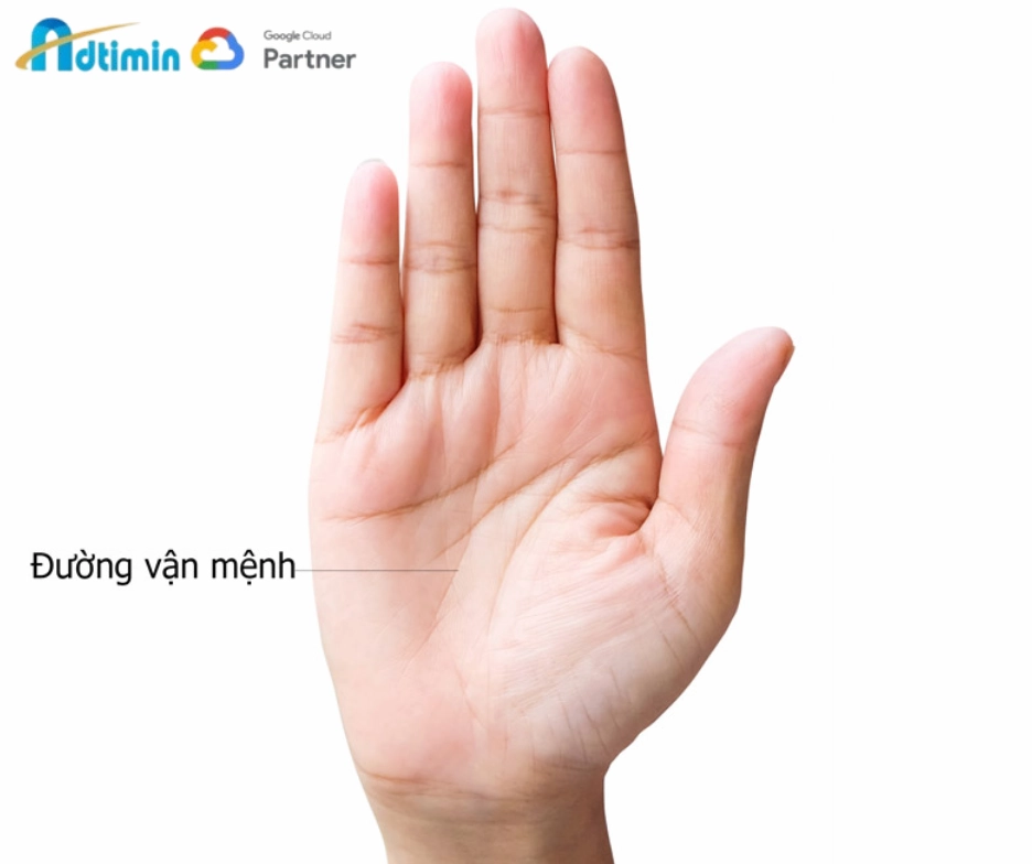 Đường định mệnh thể hiện sự nghiệp trên bàn tay nữ giới