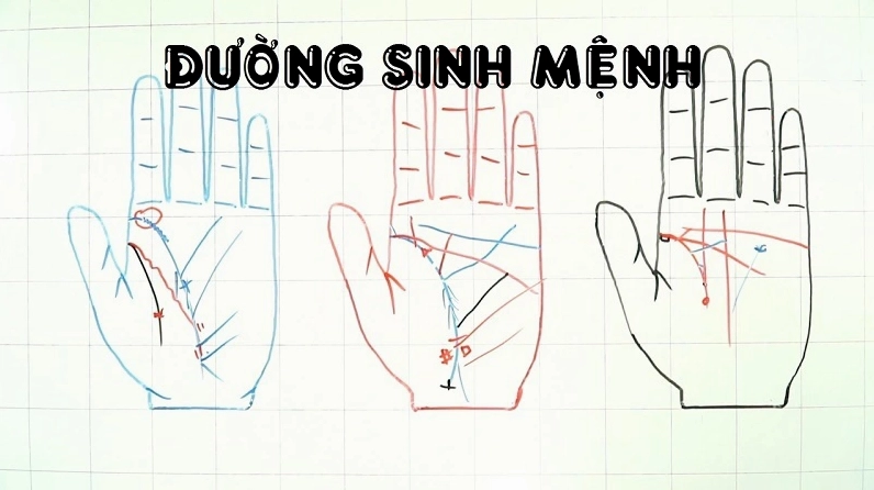 Đường thẳng thường cho thấy cuộc sống ổn định và ít gặp phải sóng gió