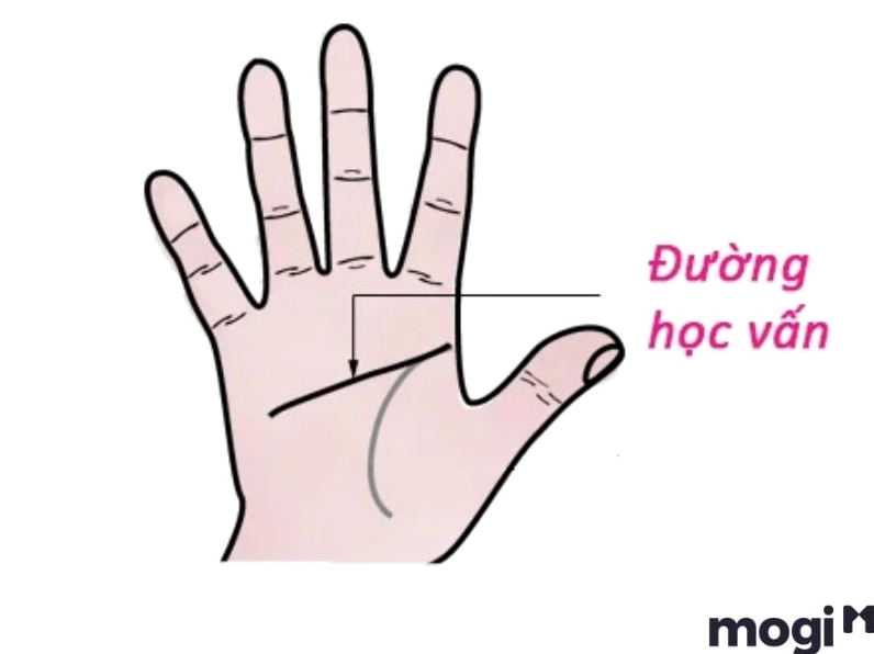 Đường trí đạo (Đường học vấn)